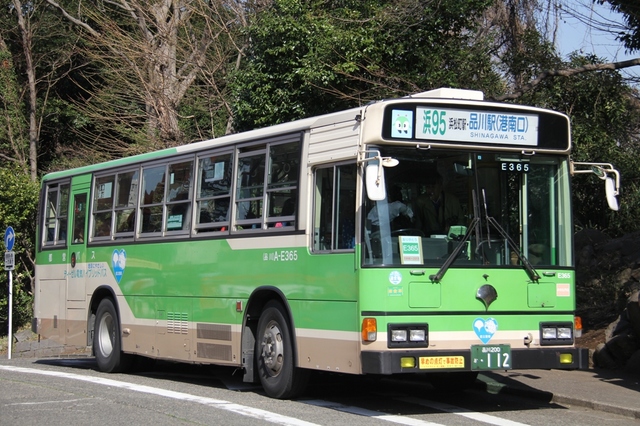 A-E365.01.jpg